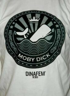 Cannabis Tshirts - Remeras Moby Dick - Dinafem - - Kush